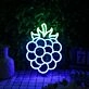 Blueberry Custom Neon Sign