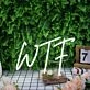 WTF White Neon Sign