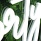Who's Turning Forty White Neon Sign