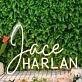 Jace Harlan Yellow Neon Sign