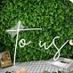 To Us White Neon Sign