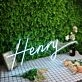 Henry Blue Neon Sign