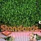 Standards Orange Neon Sign