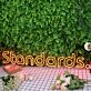 Standards Orange Neon Sign