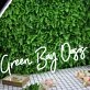 Green Bay Oasis White Neon Sign