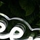 Green Bay Oasis White Neon Sign