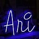Ani Blue Neon Sign