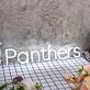 Panthers White Neon Sign