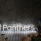 Panthers White Neon Sign