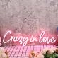 Crazy In Love Red Neon Sign
