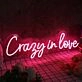 Crazy In Love Red Neon Sign
