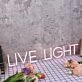 Live Light Purple Neon Sign
