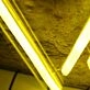 WAFL Yellow Neon Sign