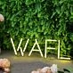 WAFL Yellow LED Neon Sign