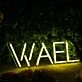 WAFL Yellow LED Neon Sign