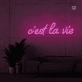 This is the life Neon Signs