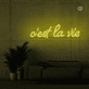 This is the life Neon Signs