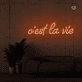 This is the life Neon Signs