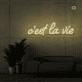 This is the life Neon Signs