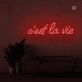 This is the life Neon Signs
