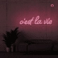 This is the life Neon Signs