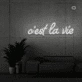 This is the life Neon Signs
