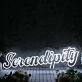 Serendipity White Neon Sign