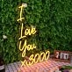 I Love You 3000 Orange Neon Sign