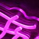 Frizell Glexis Pink Neon Sign