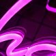 Charlotte Purple Neon Sign