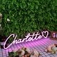 Charlotte Purple Neon Sign
