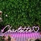 Charlotte Purple Neon Sign