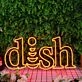 Dish Orange Custom Neon Sign