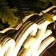 GG Lash Lounge Yellow Neon Sign