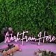 Work From Here Pink Neon Sign