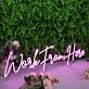 Work From Here Pink Neon Sign