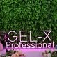 Gel-X Professional Purple Neon Sign