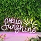 Hello Sunshine Pink Custom Neon Sign