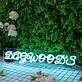Dagwood's Blue Neon Sign