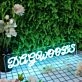 Dagwood's Blue Neon Sign