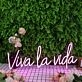 Viva La Vida Pink Neon Sign
