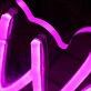 Viva La Vida Pink Neon Sign