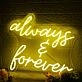 Always And Forever Yellow LED Neon Sign
