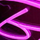 Lashes By Auddy Pink Neon Sign