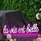 La Vie Est Belle Pink Neon Sign