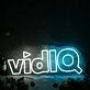 Vid IQ Custom Neon Sign