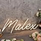 Malex Yellow Neon Sign