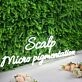 Scalp Micro Pigmentation White Neon Sign