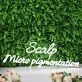Scalp Micro Pigmentation White Neon Sign