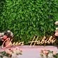 Cheers Habibi Red Neon Sign